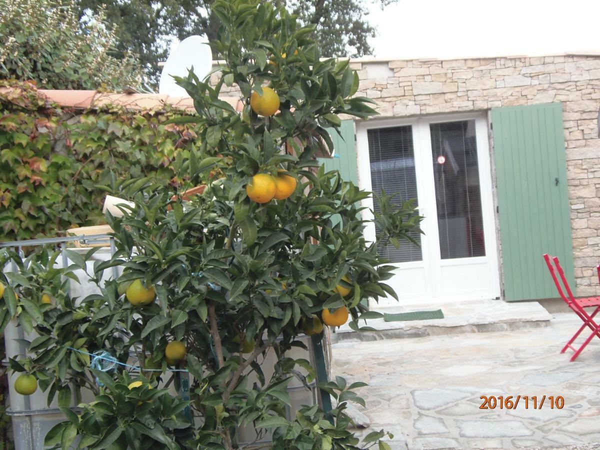 Mini Villa Marcel Classee 3 Etoiles Calenzana Exteriör bild